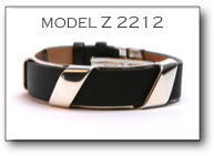 model Z 2212