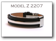 model Z 2207