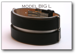 model BIG L