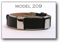 model 209
